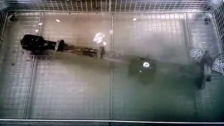 Températeur de chauffage numérique pièces automobiles industrielles en acier inoxydable nettoyant à ultrasons Jp-480st