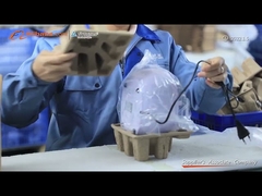 Fruits portatifs de bijoux de CD d'équipement de nettoyage ultrasonique de 750ml mini 35W JP-900S